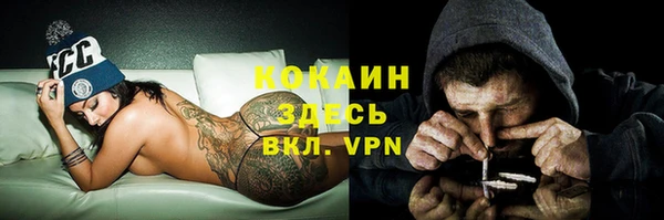 бошки Нея