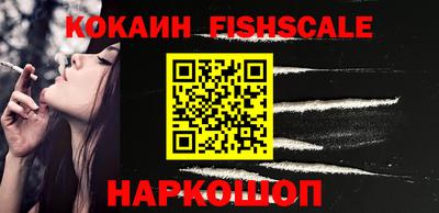 a pvp Камышлов