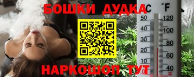 a pvp Камышлов