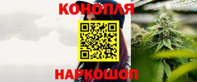 a pvp Камышлов
