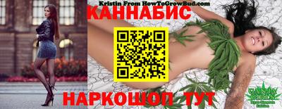 a pvp Камышлов