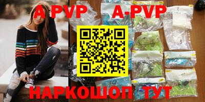 a pvp Камышлов