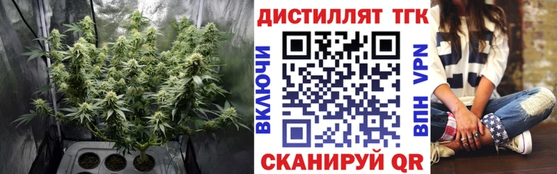 МЕГА как зайти  продажа наркотиков  Лесозаводск  Дистиллят ТГК гашишное масло 
