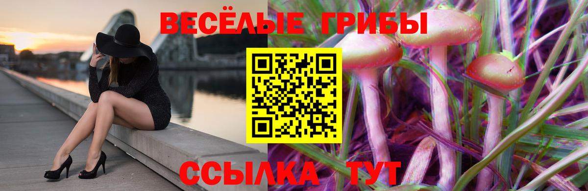 Галлюциногенные грибы GOLDEN TEACHER Лесозаводск